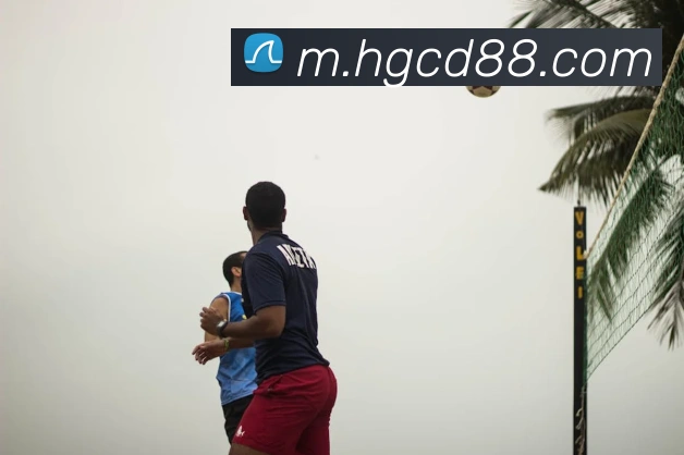 对战数据统计
